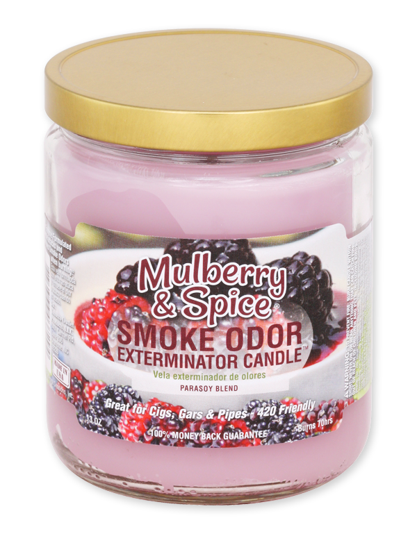 Mulberry &amp; Spice Smoke Odor Exterminator Jar Candle – 13 oz