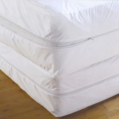 Housse de matelas anti-punaise