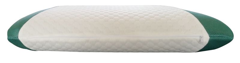 Memory Foam Pillow Infused with Eucalyptus Scent