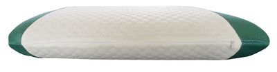 Memory Foam Pillow Infused with Eucalyptus Scent