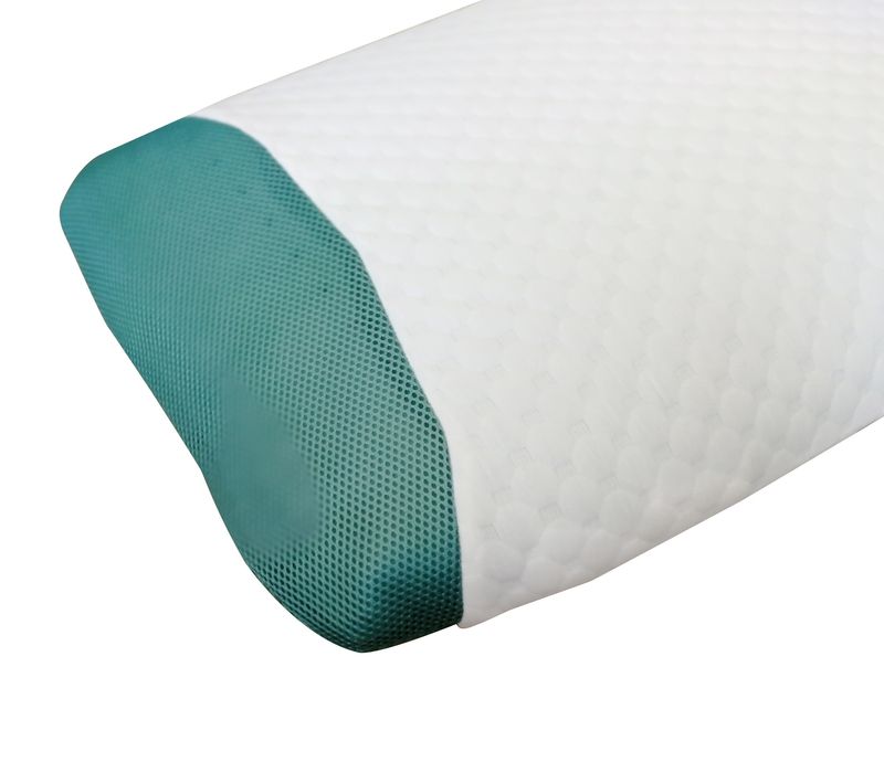 Memory Foam Pillow Infused with Eucalyptus Scent