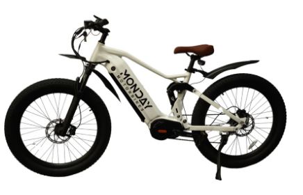 1000w Antero, Bike Assembly: Assembled (Local Pick-Up/Delivery)