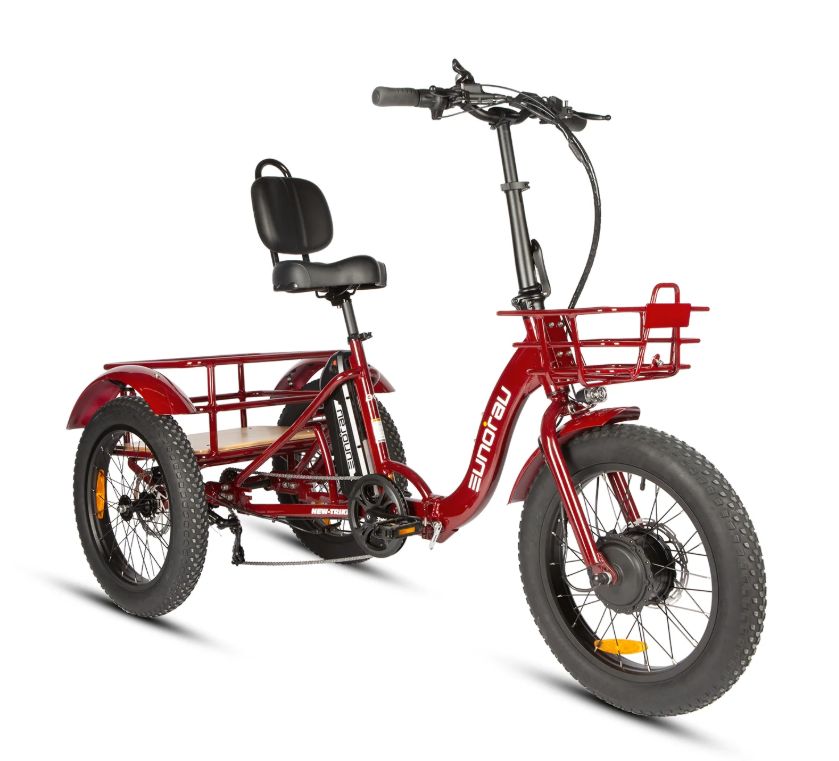 500w New Trike