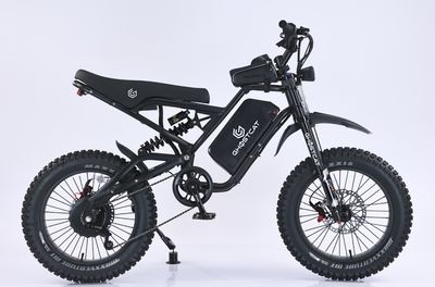 1500w F4X Pro