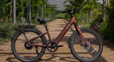 500w Solar Sparrow