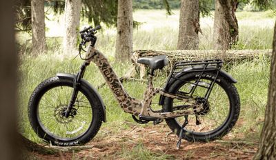 Nomad 2X ST