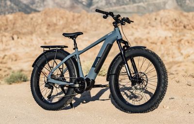 250w Aventure M (Aventon)