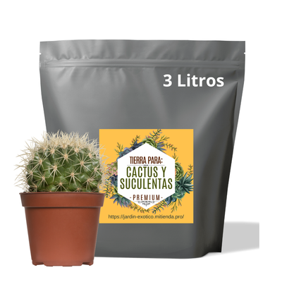 Sustrato para cactus y suculentas