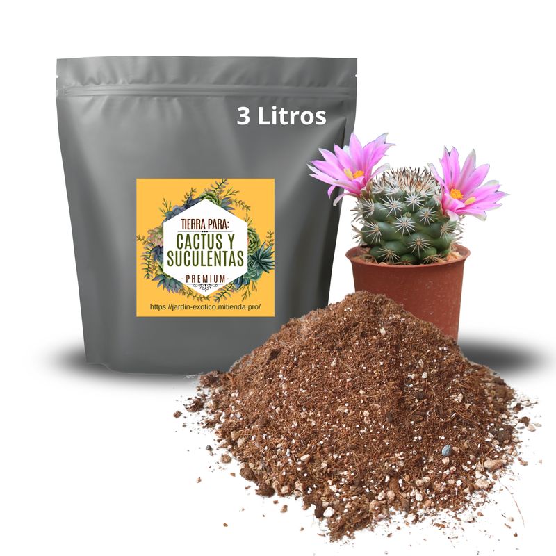 Tierra para cactus y suculentas