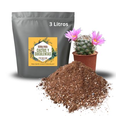 Tierra para cactus y suculentas