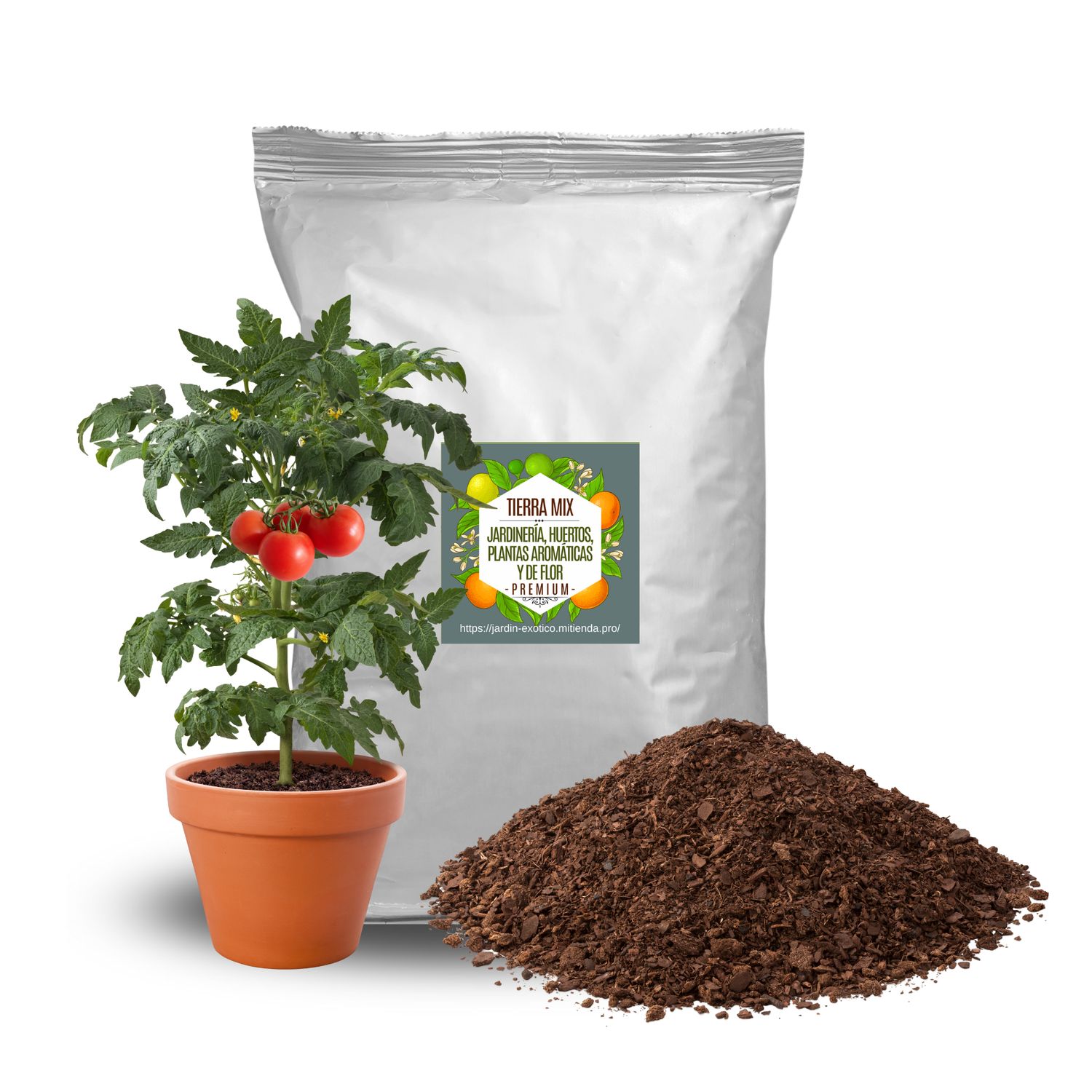 Tierra General