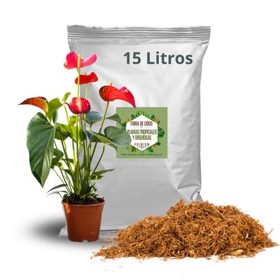 Tierra para plantas tropicales