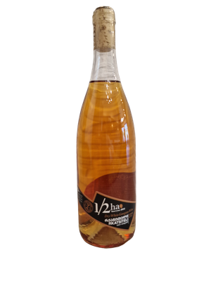 VINO BIANCO GEORGIANO RKATSITELI-CANTINA KHASHMI HILLS