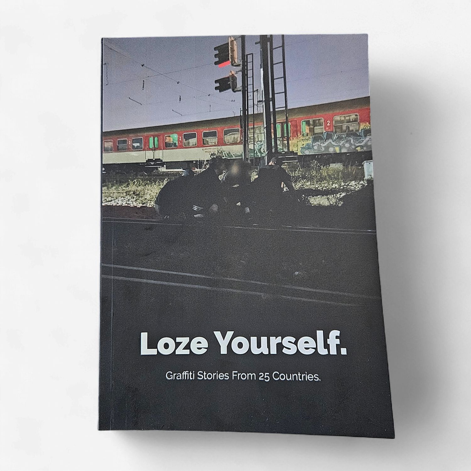 Loze Yourself - Worldwide Menchie Diaries Book