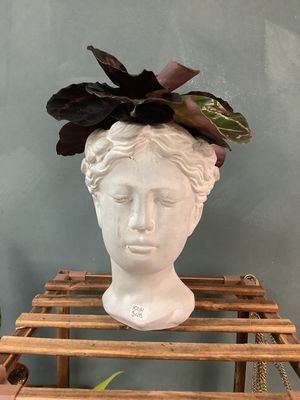 Concrete Relaxed Lady Planter