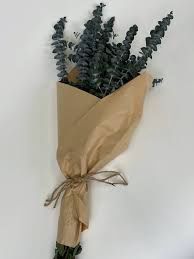 Baby Eucalyptus Shower Bundle