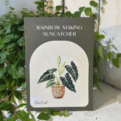 Sun Catcher Sticker