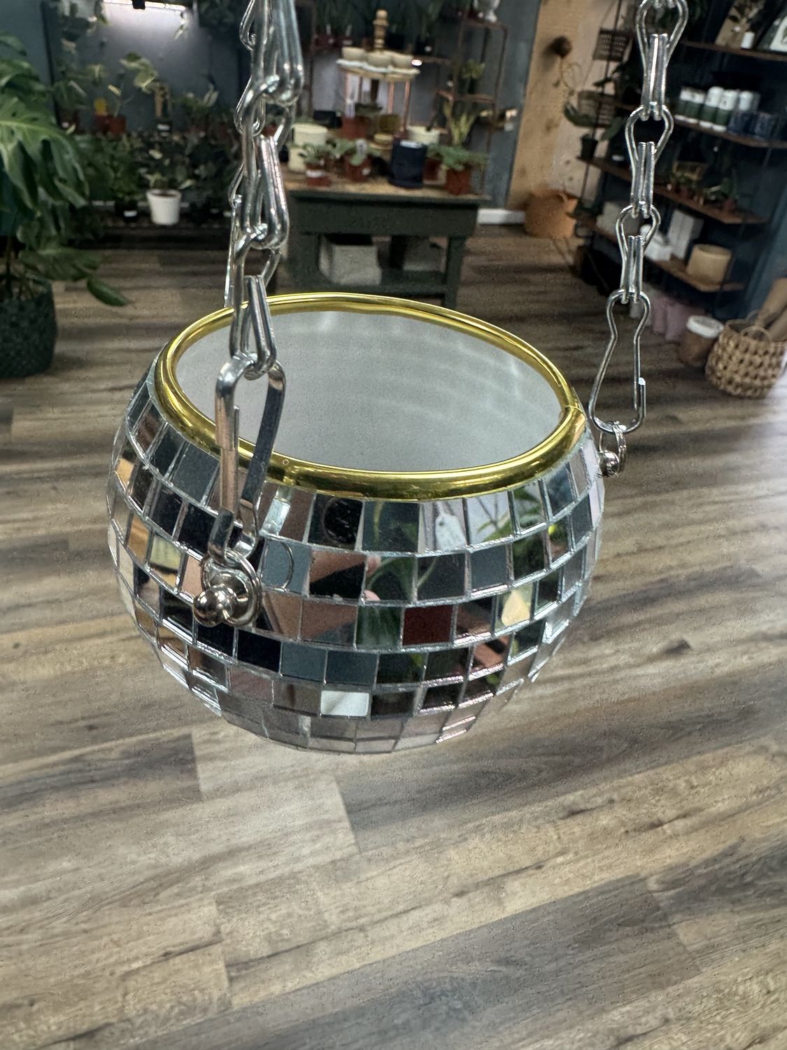 Disco Ball Planter, Variety: 3&quot;