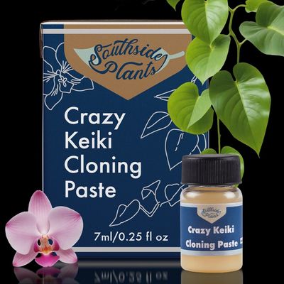 Keiki Cloning Paste