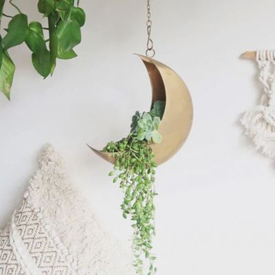 Brass Moon Planter