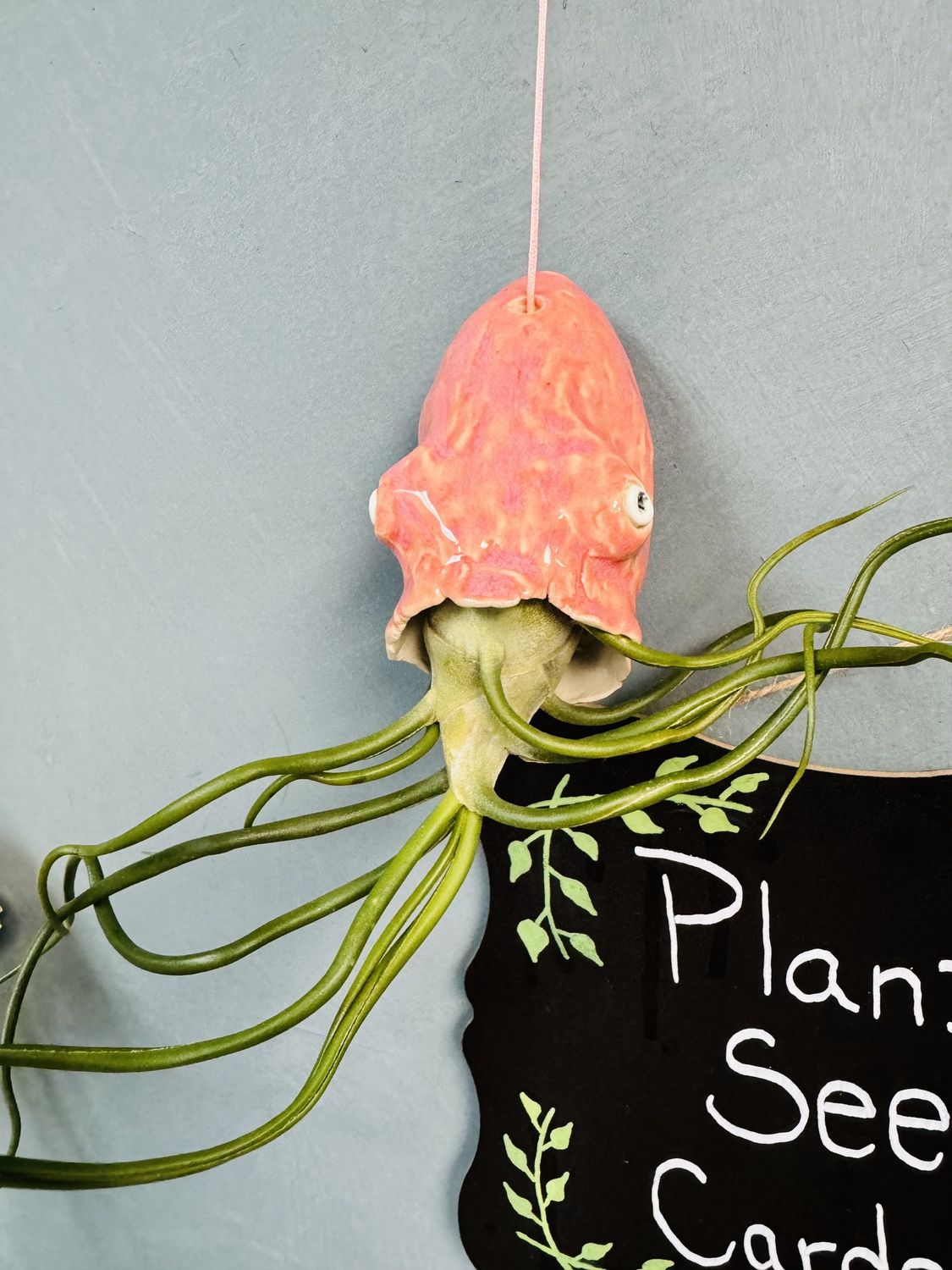 Ceramic Air Plant Holder with Airplant, Variety: Octopus