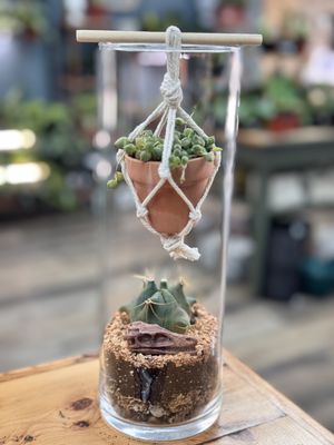 Hanging String of Pearls Workshop