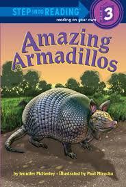 Book - Amazing Armadillo