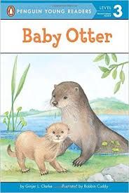 Book - Baby Otter