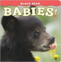 Book - Black Bear Babies