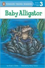 Book - Baby Alligator