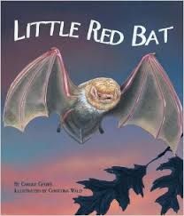 Book - Little Red Bat