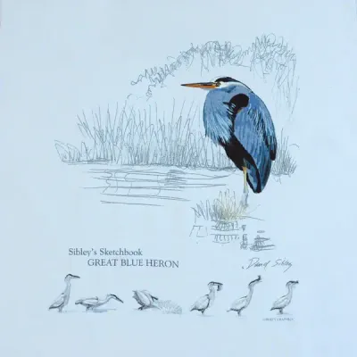 T-Shirt - Sibley&#39;s Great Blue Heron