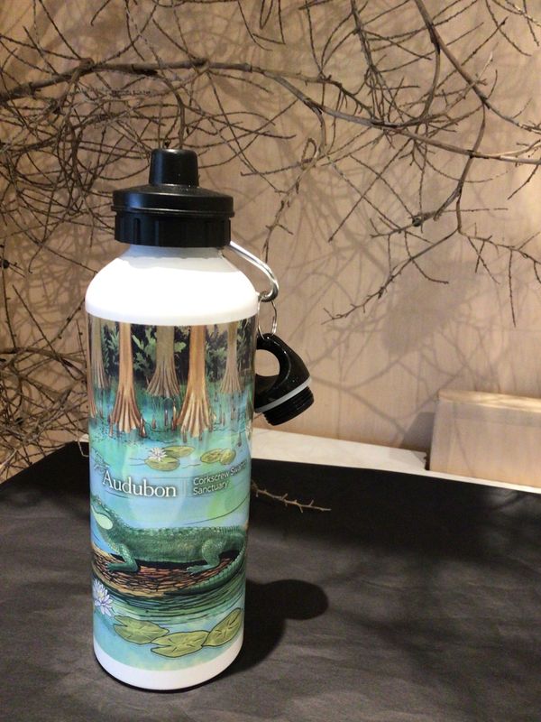 Water Bottle -