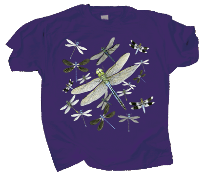 T-Shirt - Dragonfly Flight, Size: S