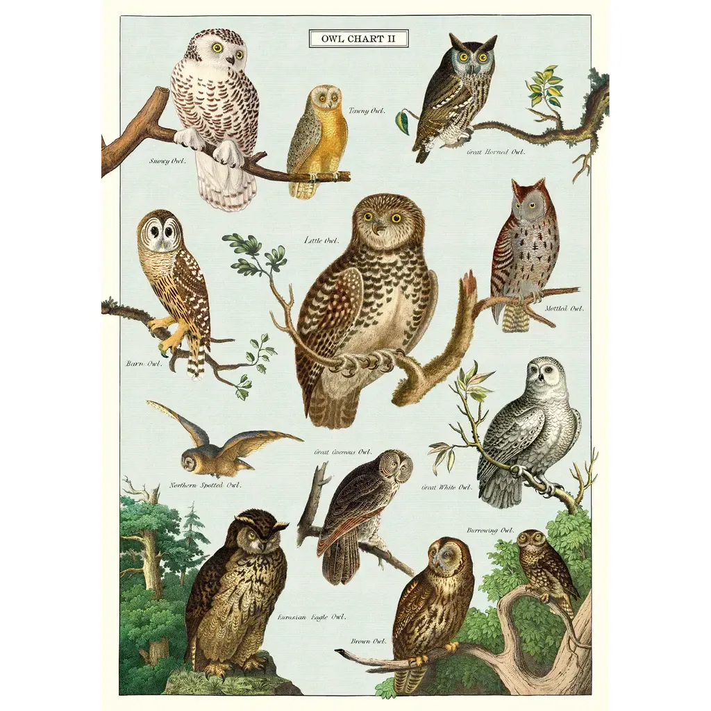 Vintage Poster, Design: Owls