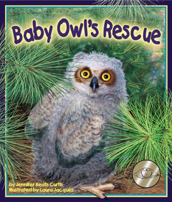 Book - Baby Owl&#39;s Rescue