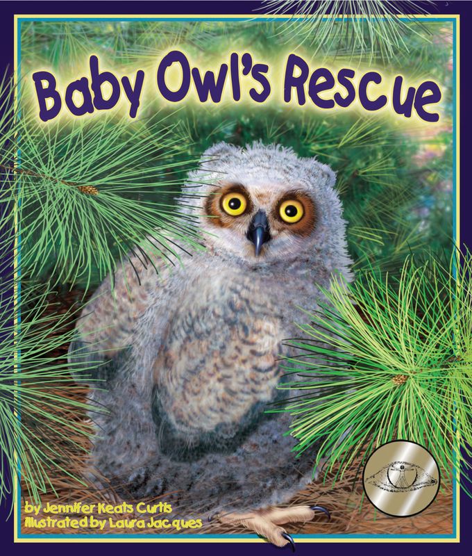 Book - Baby Owl&#39;s Rescue