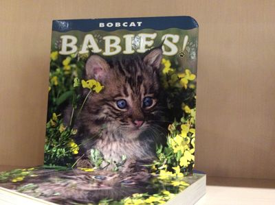 Book - Bobcat Babies