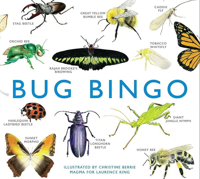 Game - Bingo Bug 6 and up