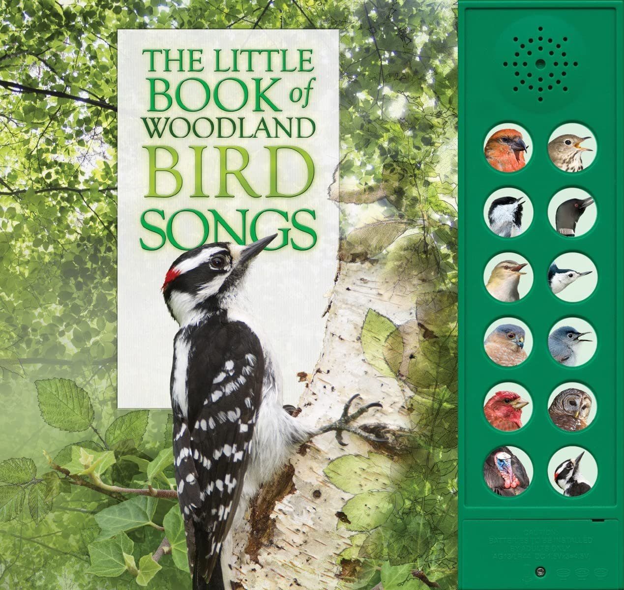 Woodland Birds Songs