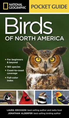Pocket Guide Birds of North America