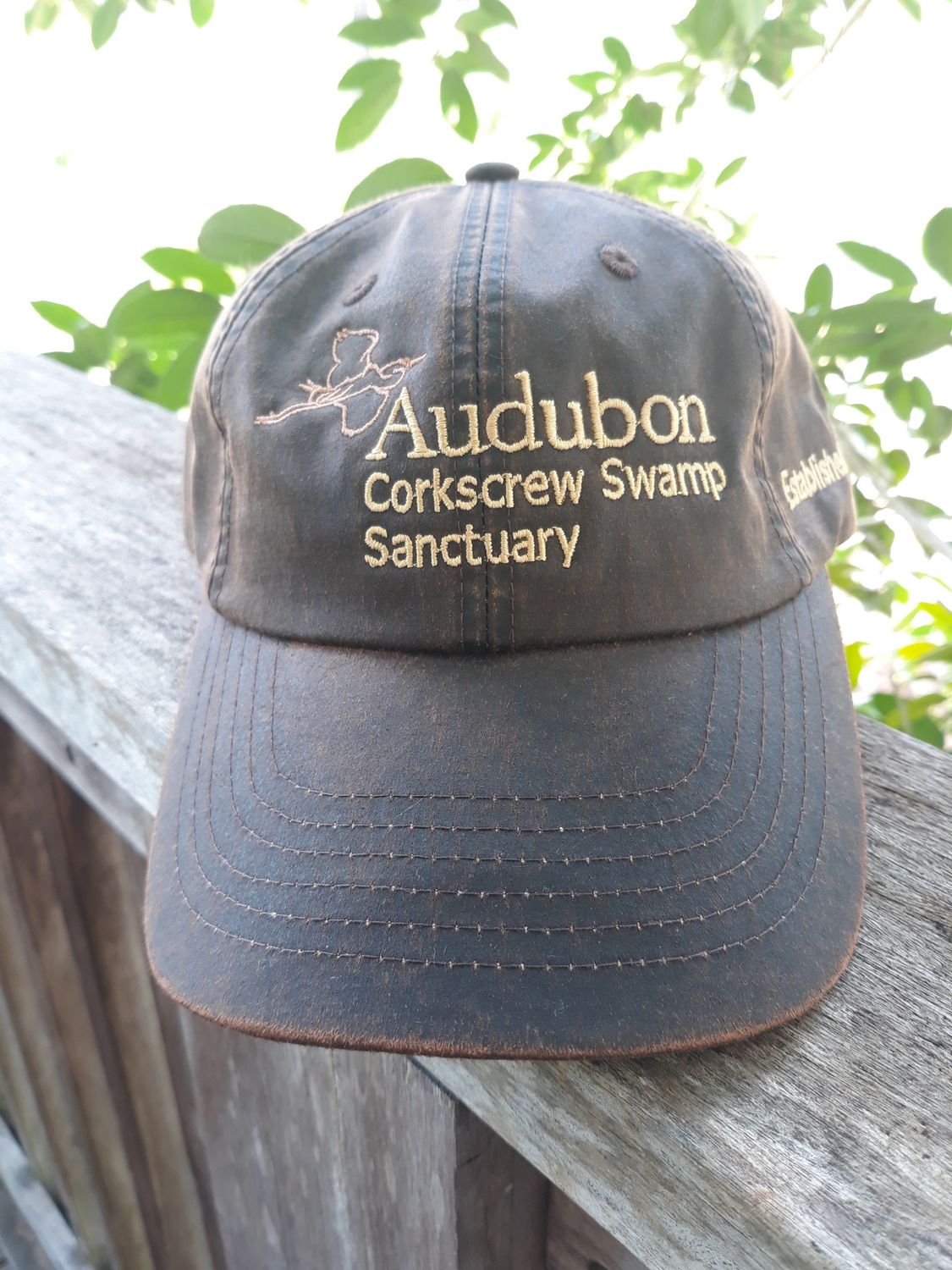 Adult Brown Canvas Cap
