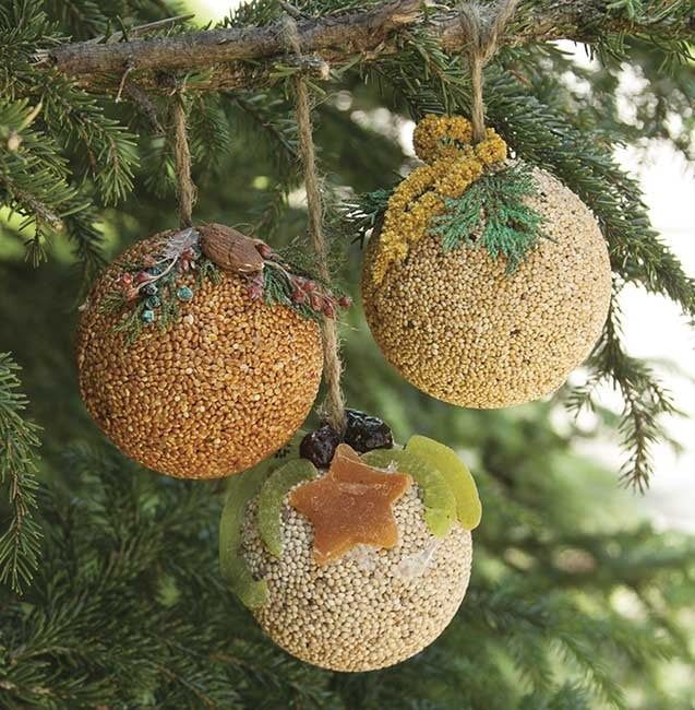 Fruit/Seed Birdseed Ball