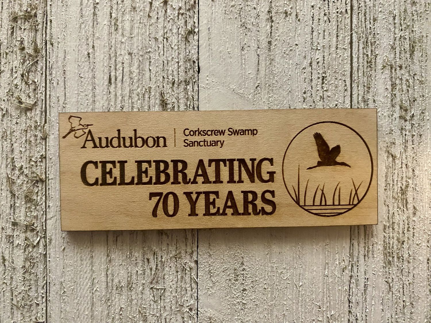 Magnet - 70th Logo