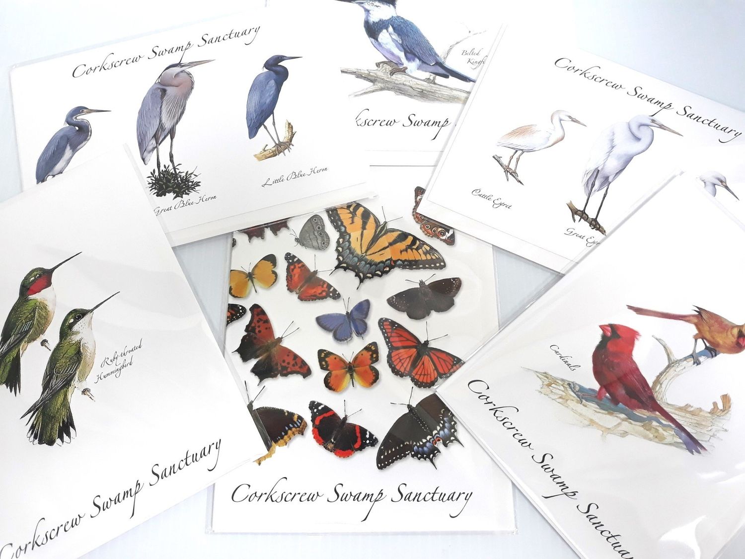 CSS Greeting Card Set