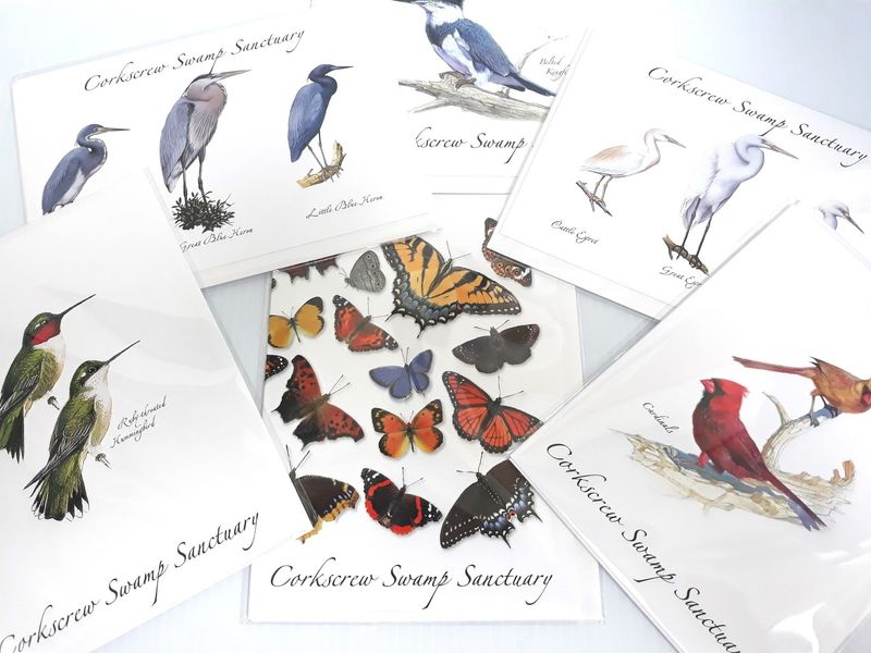 CSS Greeting Card Set