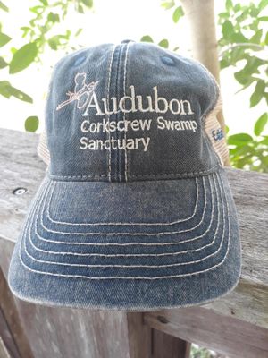 Adult Mesh Navy Cap