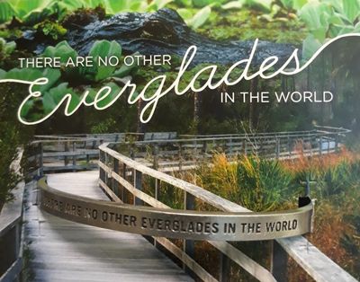 No Other Everglades Cuff Bracelet