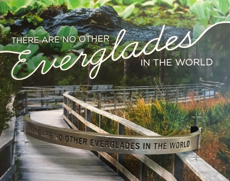 No Other Everglades Cuff Bracelet