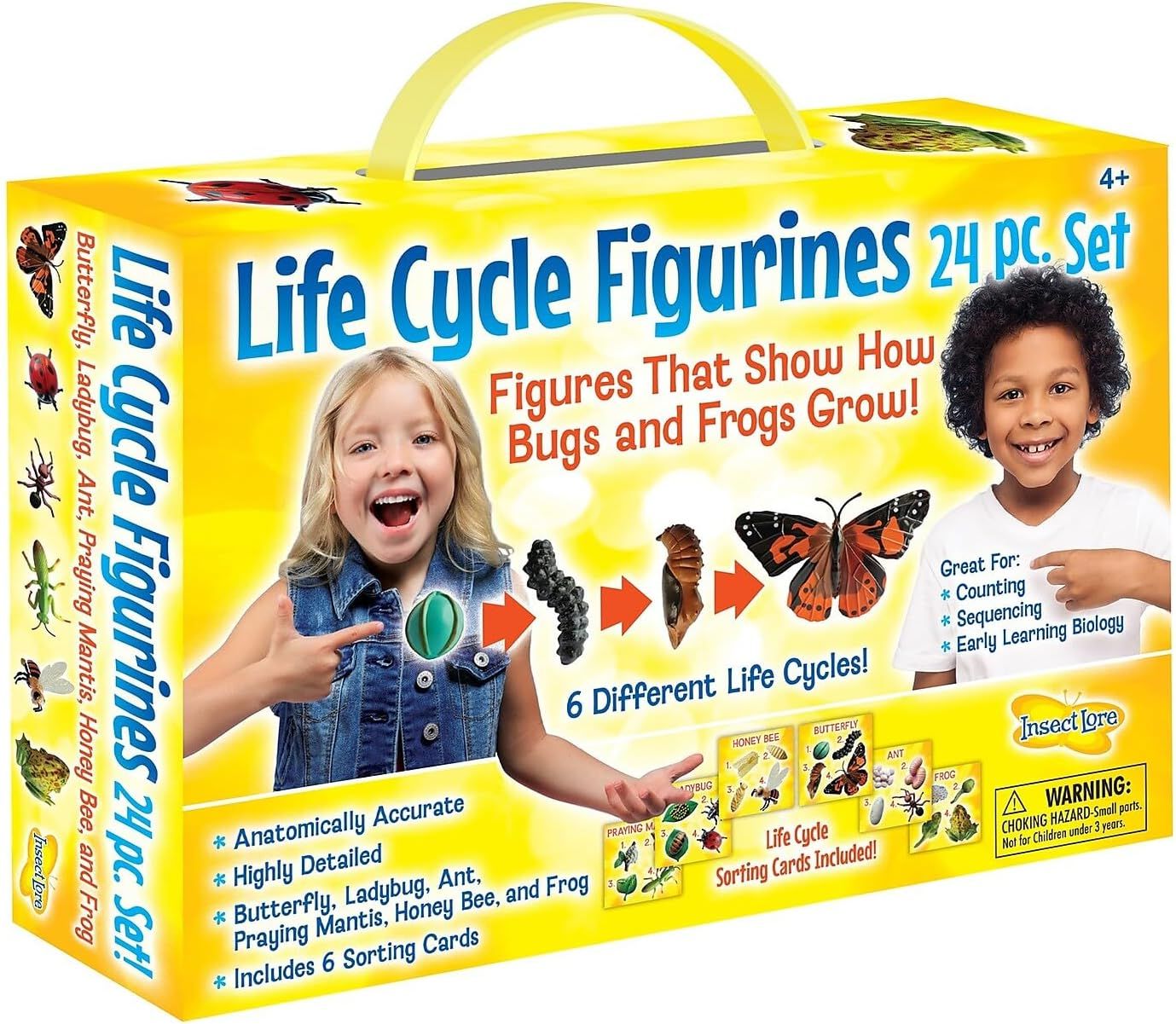Life Cycle Stages 24 pc set